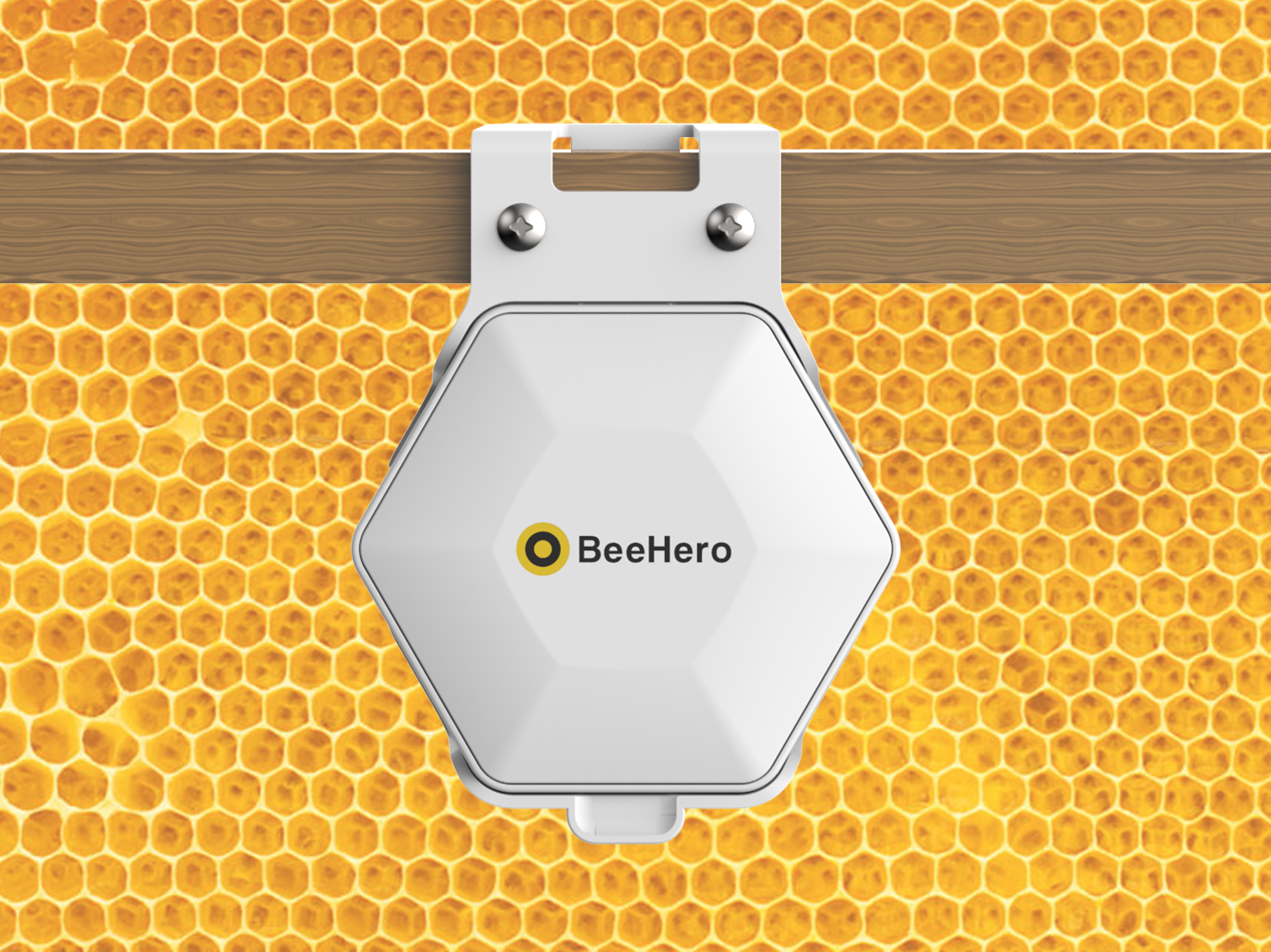 BeeHero  Product Design - Portfolio